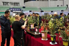 弘揚古城文化 結(jié)交八方蘭友 花卉世界杯在臨海隆