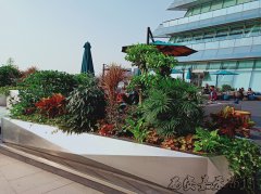 西安各大酒店綠植租賃現(xiàn)場