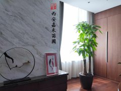 西安雁塔區(qū)的高端酒店綠植租擺怎么選擇，推薦