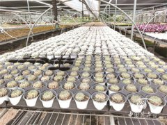 直面C端，生產(chǎn)者必由之路？