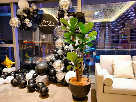 西安酒店綠植租賃|西安嘉禾苗圃 西安酒店綠植租賃|西安嘉禾苗圃