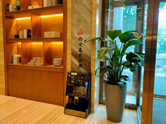 酒店綠植花卉出租，讓環(huán)境更有格調(diào)！