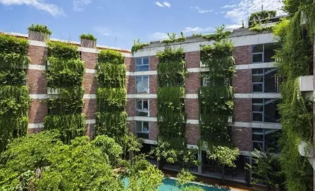 酒店綠植租擺設計|西安嘉禾苗圃