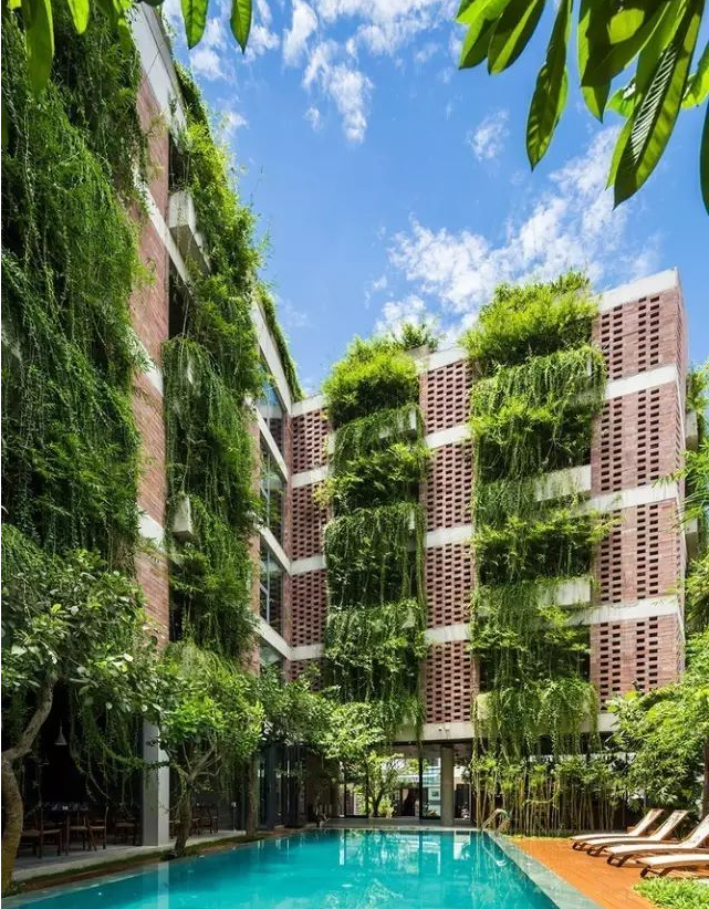 酒店綠植租擺裝飾|西安嘉禾苗圃