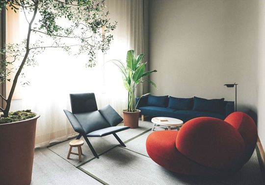 酒店會客廳綠植租賃|西安嘉禾苗圃