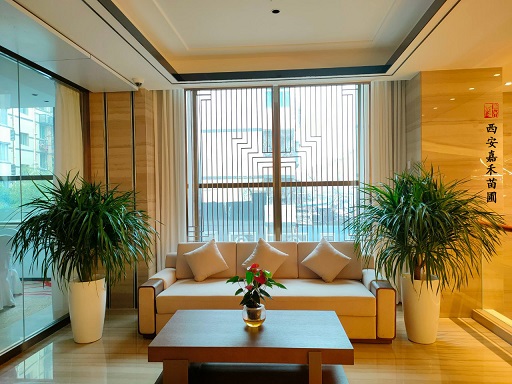 西安酒店綠植租賃|西安嘉禾苗圃 西安酒店綠植租賃|西安嘉禾苗圃